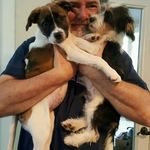 Pam Ledbetter - @samandcharliewahoo - Instagram