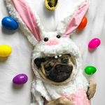 Pam Leduc - @pamela.regis.5 - Instagram