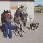 pammy - @pamleducberg - Instagram