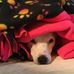 Pam Leech - Facebook