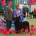 Pam Leech - Facebook