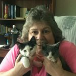 Pam Leech Davis - @pammeedee - Instagram