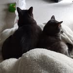 Pam Leeson Soto - @pamlsoto - Instagram