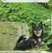 Pam Lemke - Facebook