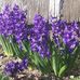 Pam Lemke - Facebook