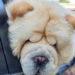 Pam Leonard - @walespam - Instagram