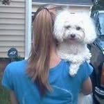 Pam Lines - @pam.lines - Instagram