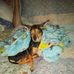 Pam Mahan - Facebook