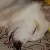 Pam Marquez - @pam.marquez7 - TikTok