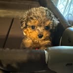 Pam Mauldin Hyde - Facebook