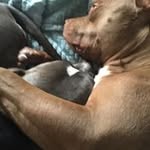 Pam Mccarthy - @pam.mccarthy.5811 - Instagram