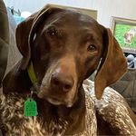 Pam McCarthy - @plm724 - Instagram