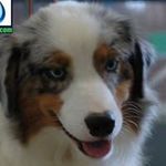 Pam McCaslin - @pam_mccaslin - Instagram
