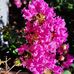 Pamela Mccaslin - Facebook