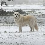 Pam McCurdy Thonsgard - @pthonsgard - Instagram