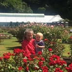 Pam Mcghee - Facebook