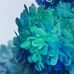 Pam Mcgregor - Facebook