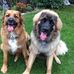 Pam Mchugh - Facebook