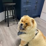 Pamela McMaster - @mcmasterpamela - Instagram