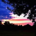 Pamela Munn McMaster - @pmcmaster - Instagram