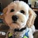 Pam McPhail - Facebook