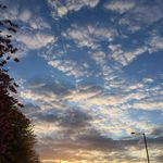 Pamela McPhail - @pamelamc2008 - Instagram