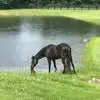 pammeadeschilling - @pam28382 - TikTok