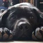 Pam Meadows - @pam.meadows.319 - Instagram