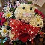 Pam Melton - @dagney324 - Instagram