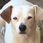 Pam Melton - @papas196221 - Instagram