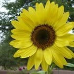 Pam Messenger - @pammessenger - Instagram