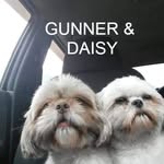 Pam Morris - @pam.morris.1840 - Instagram