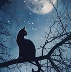 Pam Morris - Facebook