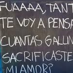 Pam Morrison - @clarilubf2024 - Instagram