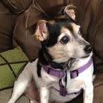 Pam Morrison Haines - @pam.morrison.188 - Instagram