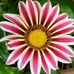 Pam Orcutt Mraz - Facebook