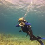 Pam Munro - @psmunro - Instagram