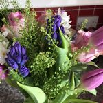 Pam Munro - @munro.pam - Instagram