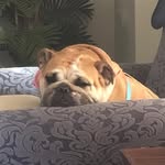 Pam Munson - @pam.munson.50 - Instagram
