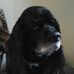 Pam Murch - Facebook