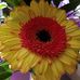 Pam Murch - Facebook