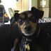 Pam Murch - Facebook