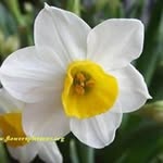Pam Nance Vore - @pamvore - Instagram