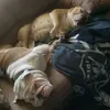 Pam Naumann550 - @pamnaumann550 - TikTok
