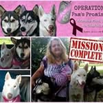 Pam Neeley - @pam.neeley3 - Instagram