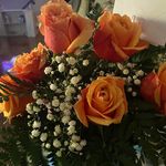 Pamela 'Steele' Neeley - @pamneeley - Instagram