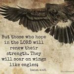 Pam Neely - @pam.neely721 - Instagram