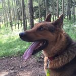 pam neely - @notsoultralight - Instagram