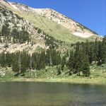Pam Neely - @taostosantafe - Instagram