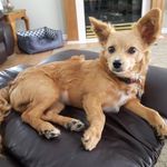 Pam Neely - @pam.neely.3 - Instagram